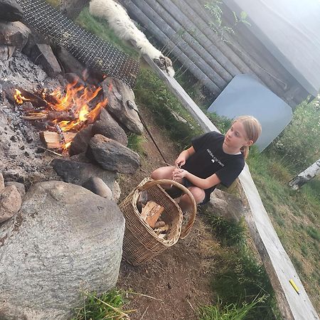 Вилла Vittfarnas Vikingaby Sosdala Экстерьер фото