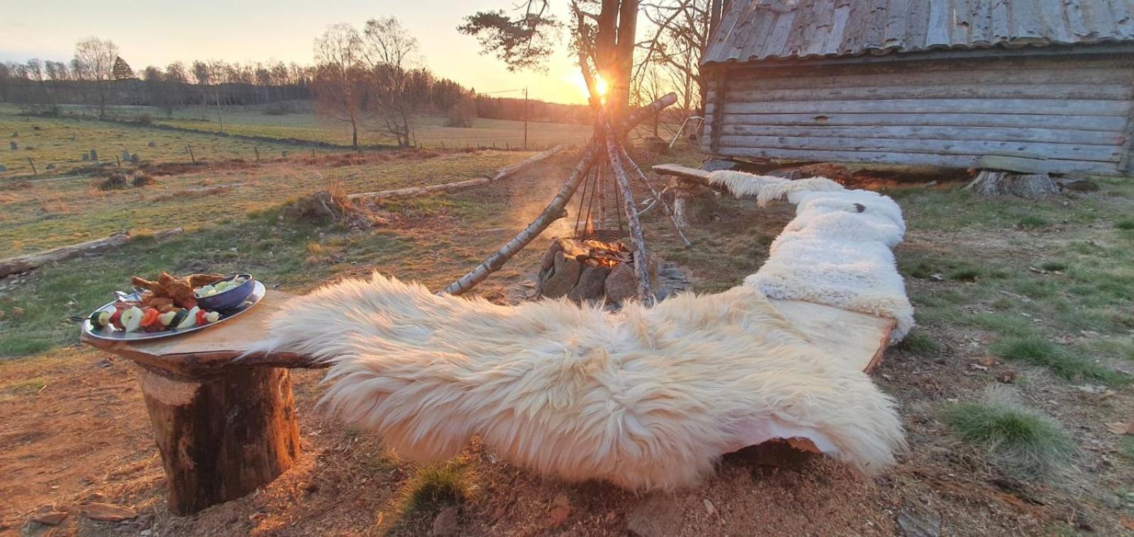 Вилла Vittfarnas Vikingaby Sosdala Экстерьер фото